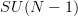 SU(N-1)